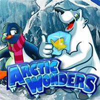 Arctic Wonders